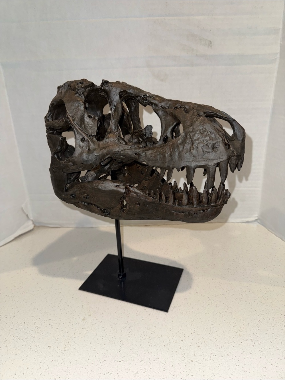 T-Rex Dinosaur Skull Fossil Replica Statue on Metal Stand – 3 lb